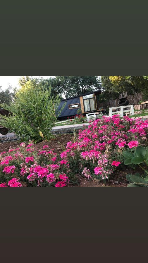 Tiny House Kayakoey Kumquat Hotel Exterior foto